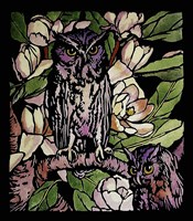 Owls Fine Art Print