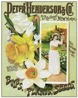 Seeds 1 Fine Art Print