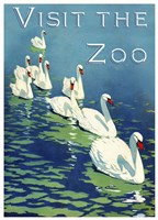 Visit the Zoo Framed Print