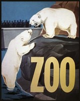 Zoo Fine Art Print