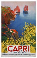 Capri L'Isola del Sole 1 Fine Art Print