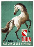 Nat. Concours Hippique Fine Art Print