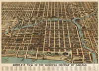 Birds Eye Chicago biz district-1898 Fine Art Print