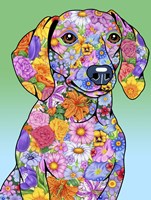 Flowers Dachshund Fine Art Print