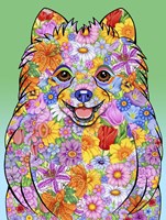 Flowers Pomeranian Fine Art Print