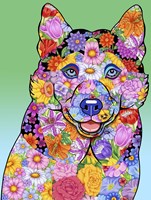 Flowers Siberian Husky Fine Art Print