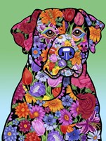 Flower Black Lab Fine Art Print