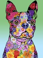 Flowers Boston Terrier Fine Art Print