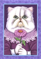White Persian Fine Art Print