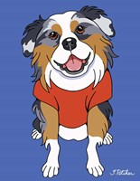 Australian Shepherd Fine Art Print