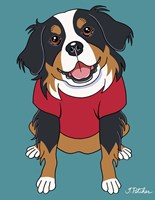 Bernese Mountain Dog Fine Art Print