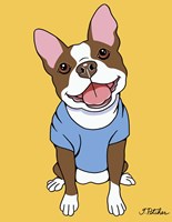 Boston Terrier Seal Fine Art Print