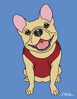 French Bulldog Framed Print