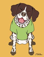 German Pointer Fine Art Print