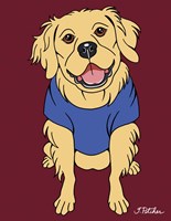 Golden Retriever Fine Art Print