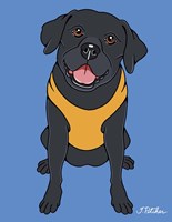 Labrador Black Fine Art Print