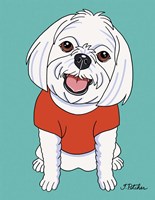 Maltese Fine Art Print