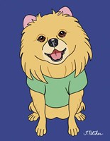 Pomeranian Fine Art Print