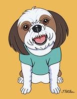 Shih Tzu Brown Fine Art Print