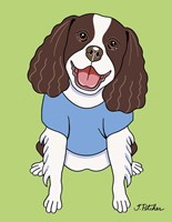 Springer Spaniel Fine Art Print