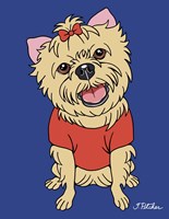 Yorkshire Terrier Framed Print