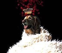 Royal Love Pup - Golden Retriever Fine Art Print