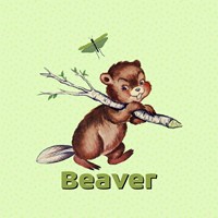 Cute Baby Beaver Framed Print