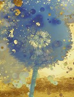 Golden Dreams II Framed Print