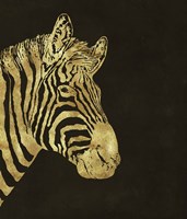 Golden Zebra Fine Art Print