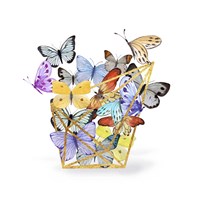 Butterfly Terrarium Fine Art Print
