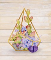 Rustic Succulent Terrarium Fine Art Print