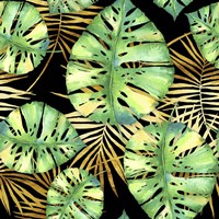 Tropical Haze Noir Fine Art Print