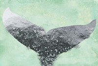 A Mermaid's Tail I Fine Art Print