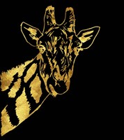 Golden Giraffe Fine Art Print