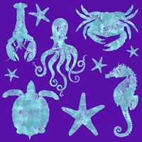 Sponge Marine Life Grouping Fine Art Print