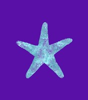 Sponge Sea Star Aqua Framed Print