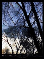 City Sunrise 1 Fine Art Print