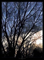 City Sunrise 2 Fine Art Print