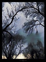 End Of Day Winter Trees Fine Art Print