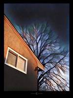 Late In The Day Fine Art Print