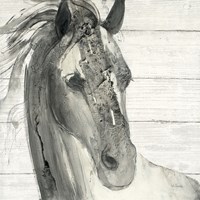 In the Wind I Shiplap Fine Art Print