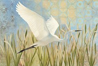 Snowy Egret in Flight v2 Fine Art Print