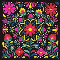 Floral Fiesta II Fine Art Print