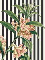 Herbal Botanical XXVI Bold Fine Art Print