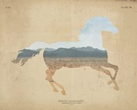 American Southwest Horse Distressed Fine Art Print