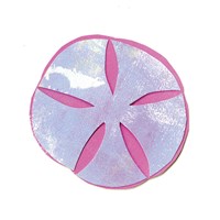 Seashell 2 Fine Art Print