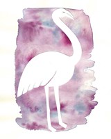 Flamingo Fine Art Print