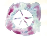Watercolor Sand Dollar Fine Art Print