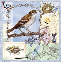Birds & Butterfly Sketches-Blue Fine Art Print