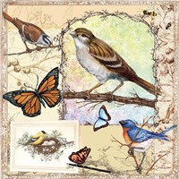Birds, Butterflys, Bees-Pastels Fine Art Print